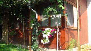 Гостевой дом Guesthouse Elena Белоградчик-3